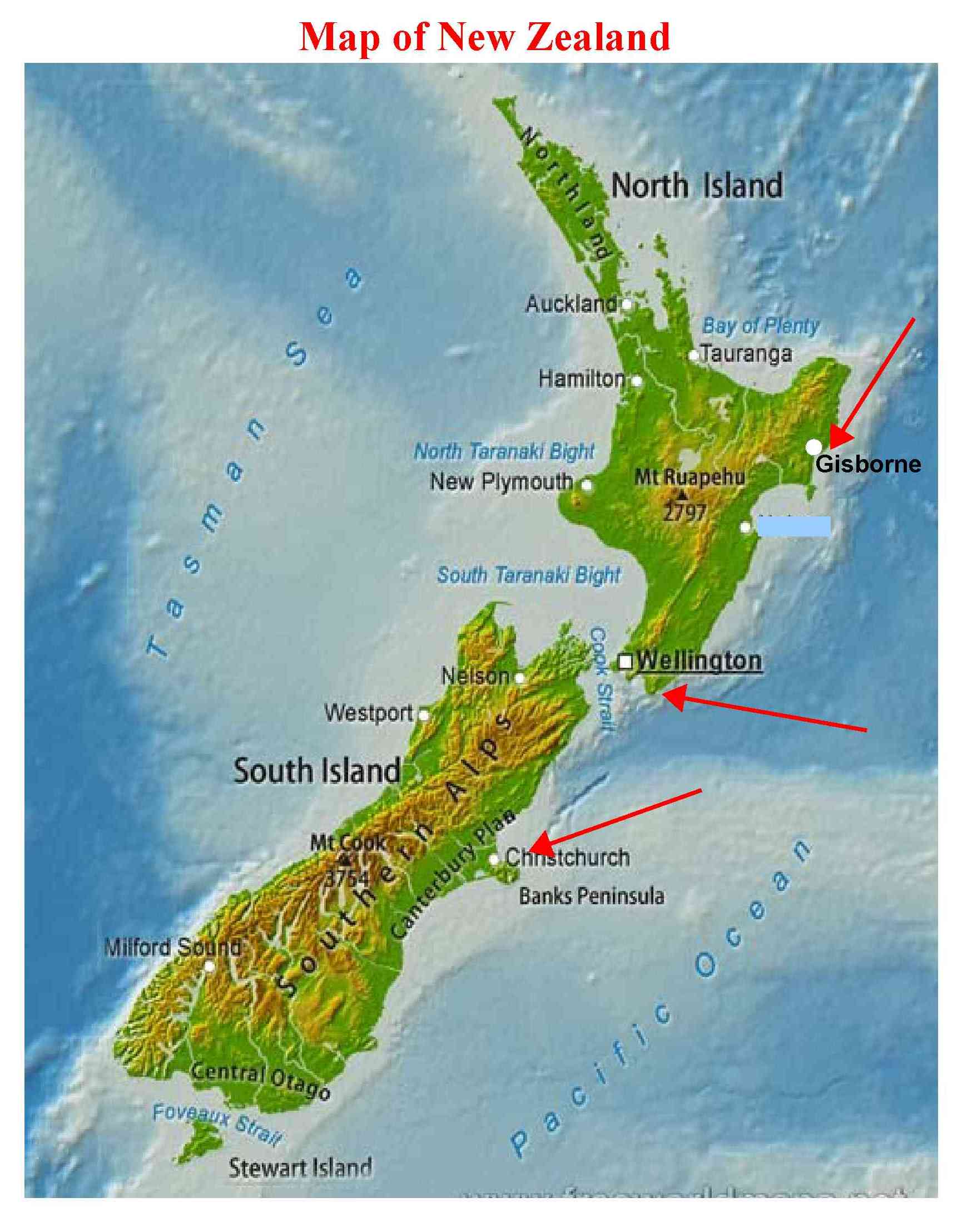 MapNZ